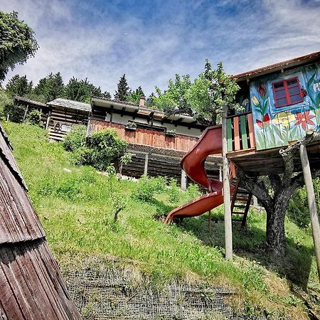 فندق Glamping Mm Muta المظهر الخارجي الصورة